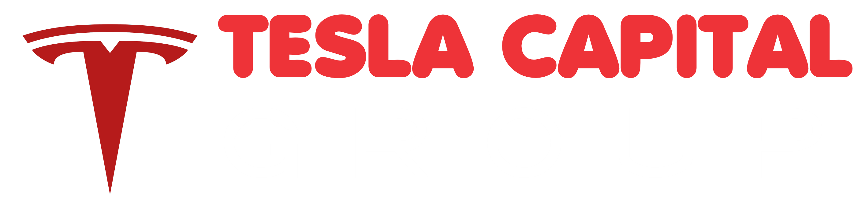 Tesla Holdings
